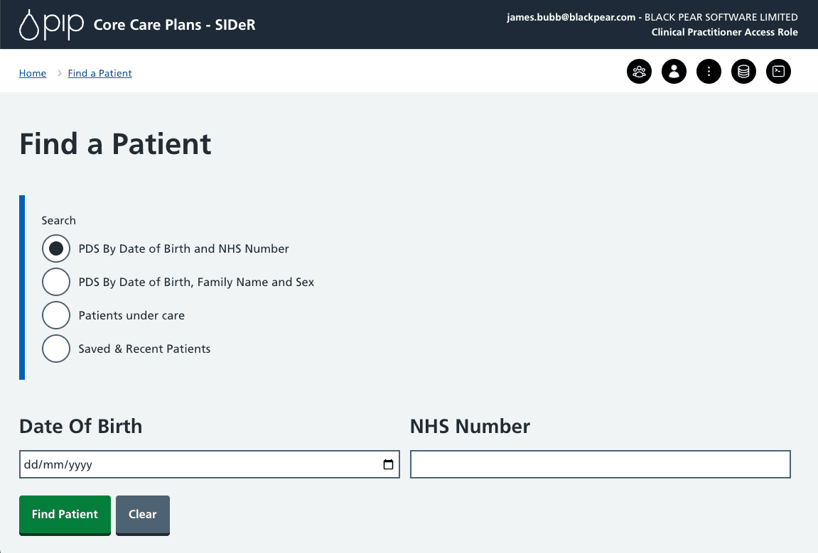 Accessible patient search interface